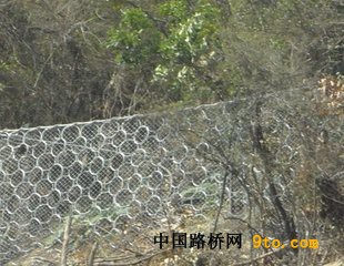 ROCCO环形?2